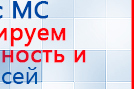 Пояс электрод купить в Перми, Электроды Меркурий купить в Перми, Нейродэнс ПКМ официальный сайт - denasdevice.ru